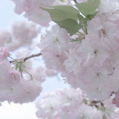 酒泉FurryQQ群介绍